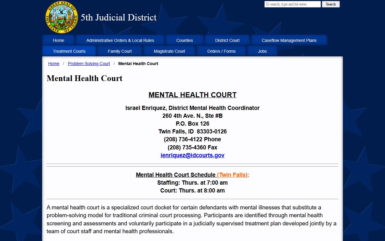 Gooding County District Court Fifth District mental health court information