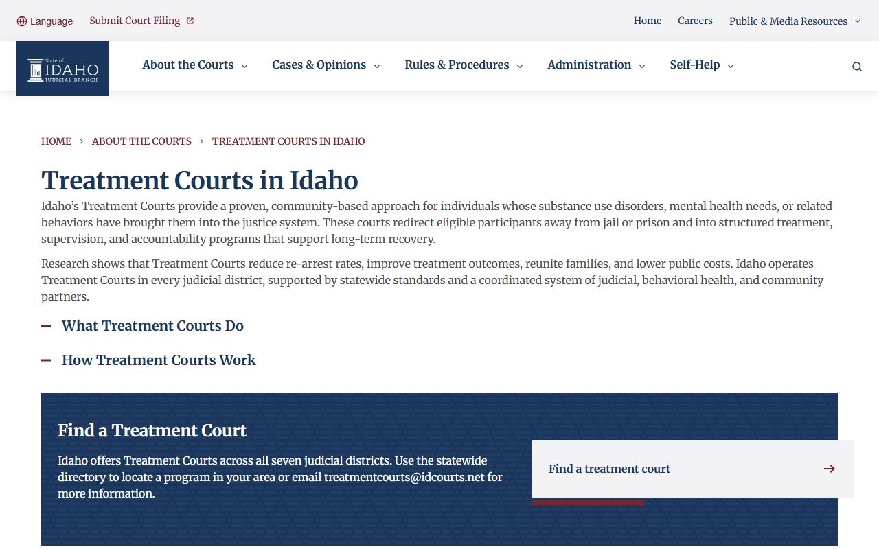 Gooding County District Court treatment court records context from Idaho courts